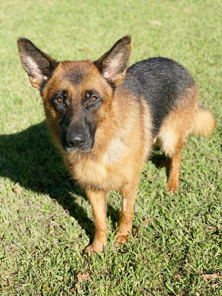 Diego
